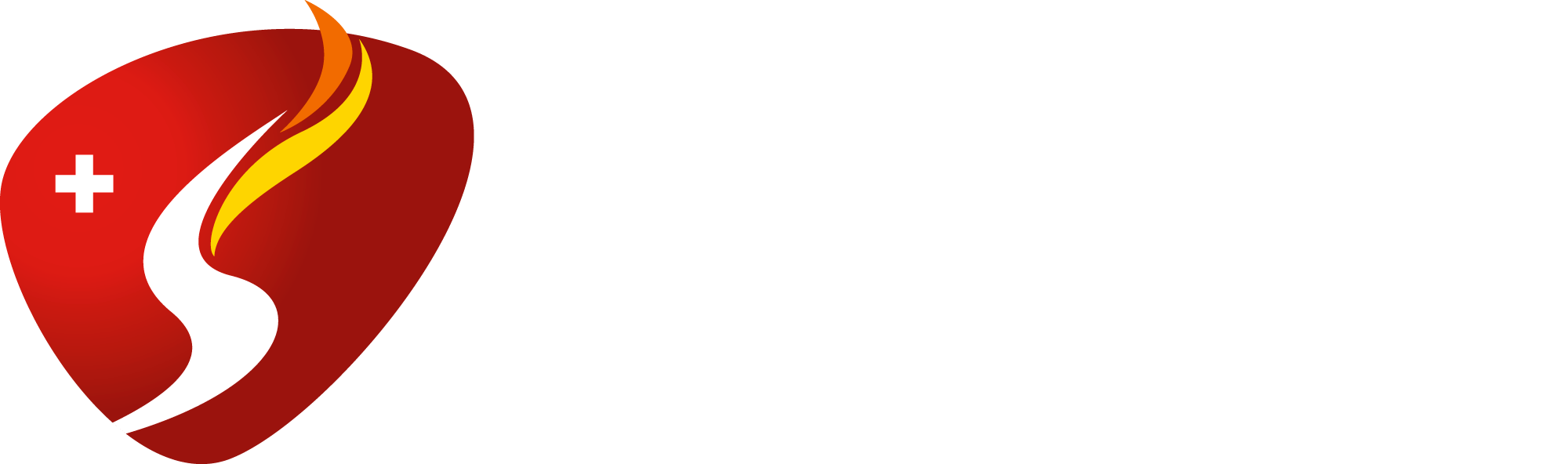 Armee Schweiz